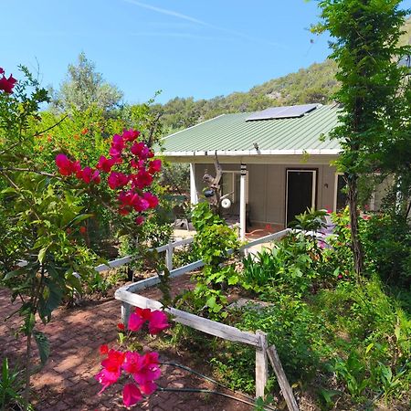 Gelidonia Fenerium Holiday Home Antalya Exteriör bild