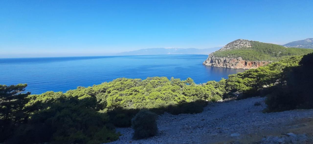Gelidonia Fenerium Holiday Home Antalya Exteriör bild