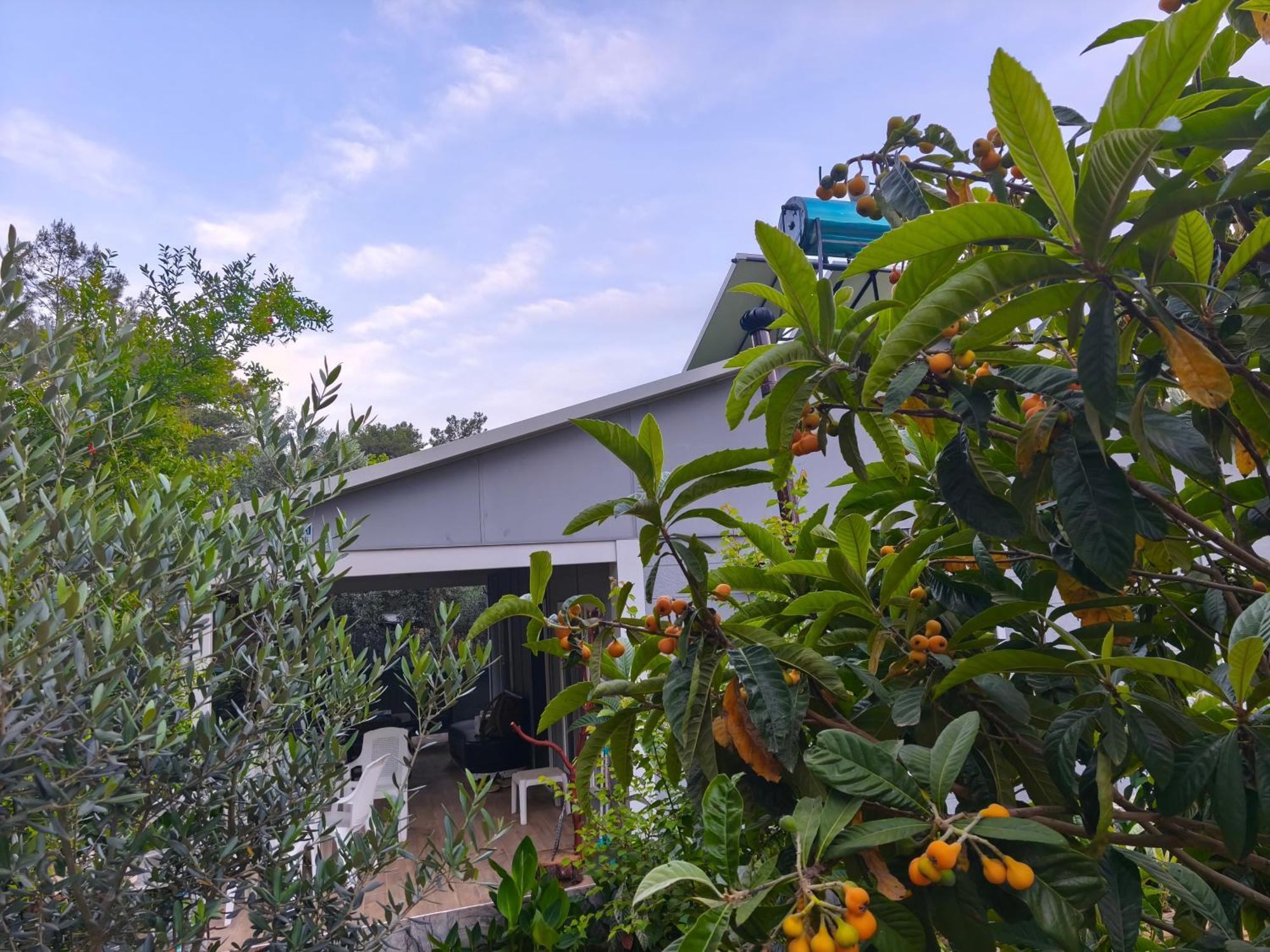 Gelidonia Fenerium Holiday Home Antalya Exteriör bild