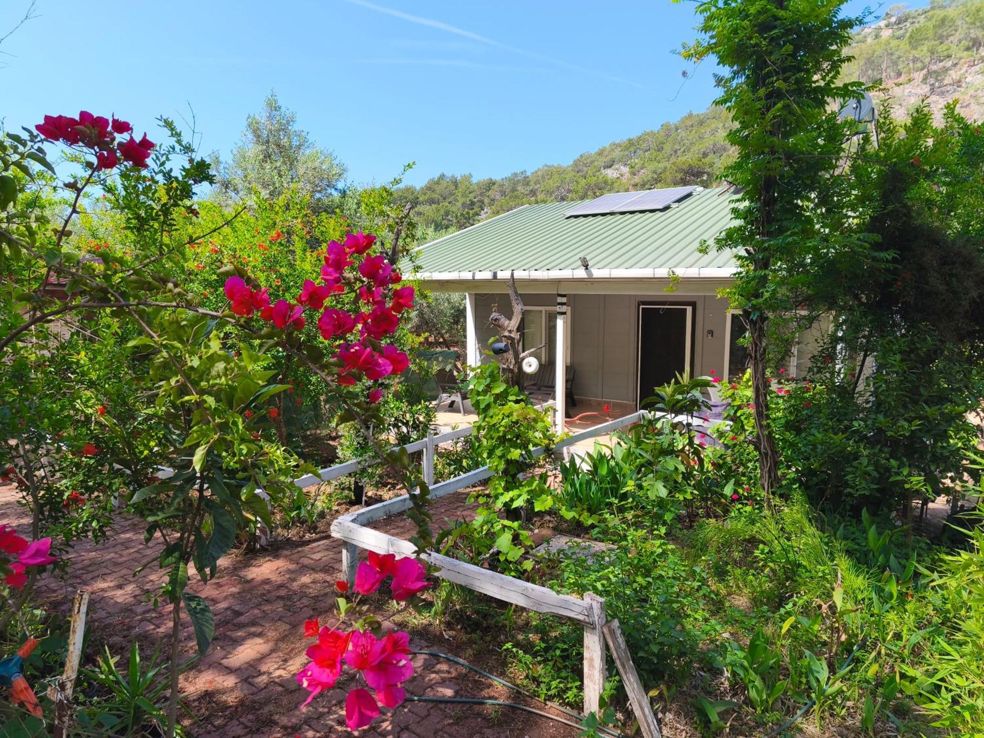 Gelidonia Fenerium Holiday Home Antalya Exteriör bild
